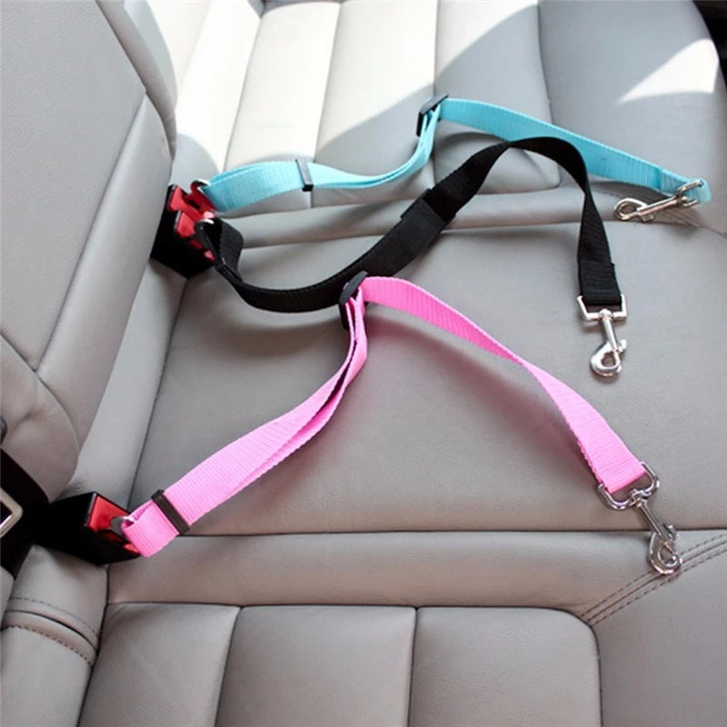 Black, pink and blue dog car seat belts installed on a rear seat