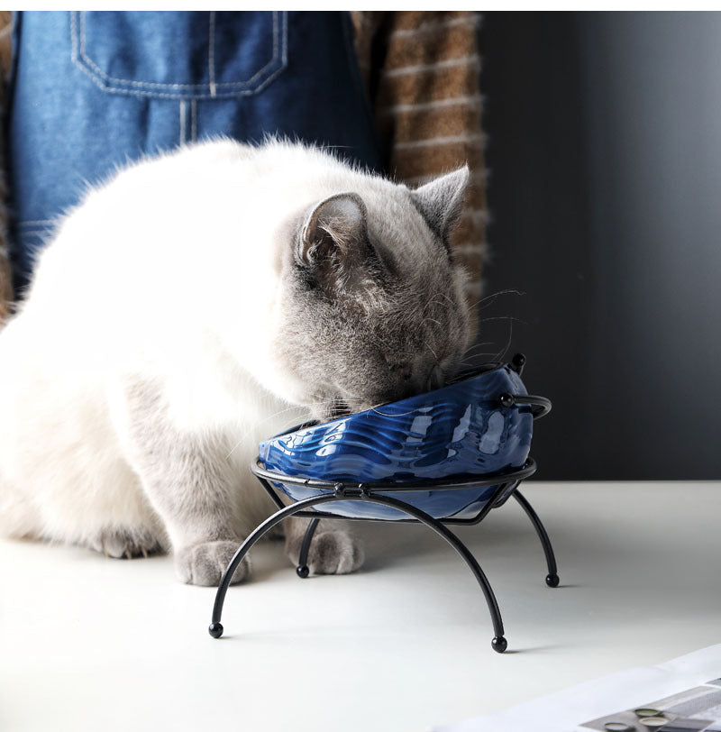Cat eating from an elevated blue ceramic pet bowl