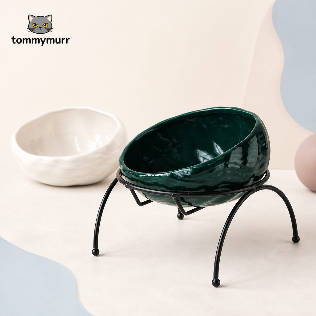 Tommy Murr elevated ceramic pet bowl with black metal stand