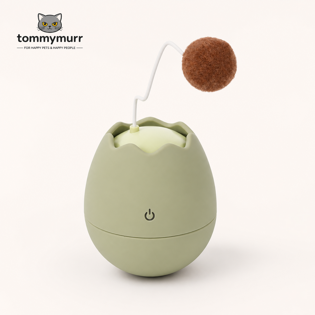 Tommy Murr interactive battery-powered cat toy in Green